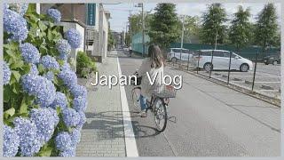 JAPAN VLOG  Buying my first bike  Grocery shopping