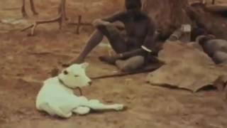 African Hamar Tribes Rituals and Ceremonies Life of Hamar Tribe at Ethiopia Documentary Movies P3