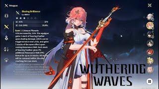 Changli Banner Test 1.1 Patch - Wuthering Waves