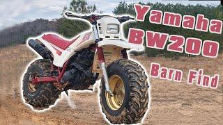 Yamaha BW200 - 1987 Big Wheel 200