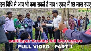 multileyar farming  aakash chaurasiya  sabji ki kheti  5 leyar farming