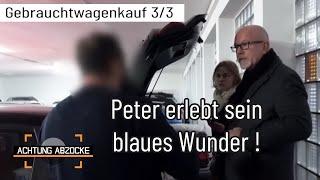 Fahrgestellnummer GEFÄLSCHT Peter fassungslos im Autohaus  33  Achtung Abzocke  Kabel Eins