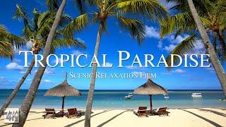 Tropical Paradise 4K Relaxation Video  Escape to Paradise With Tropical Beaches Drone Footage in 4K