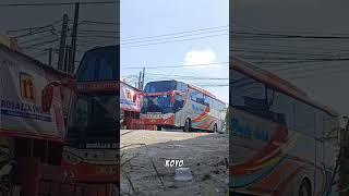 Rosalia Indah Cikande merak - Blitar #jetbusshd #jetbushd  #rosaliaindahmania #Rosalia #rosinckd