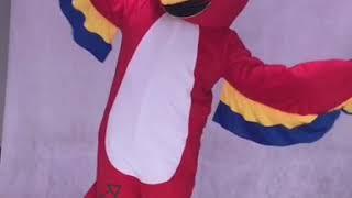 Red Pirate Parrot With Tail Mascot Costumes Bird