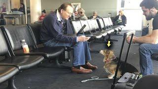 Am Flughafen befreite sich der Hund aus den Armen seines Besitzers und stürzte sich auf einen Fremde