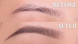 EYEBROW TUTORIAL beginner friendly  Anastasia Beverly Hills Powder + Brow Wiz