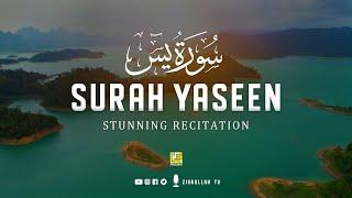 Most beautiful recitation of Surah Yaseen Yasin سورة يس ⋮ Zikrullah TV