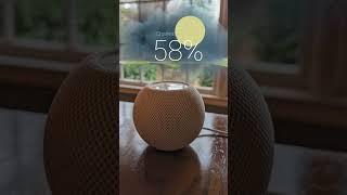 Apple just turned on some new Siri commands for the HomePod Mini #shorts
