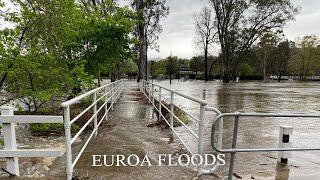 Will The Seven Creeks Flood My Town?