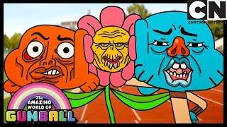 Gumball  The Petals  Cartoon Network