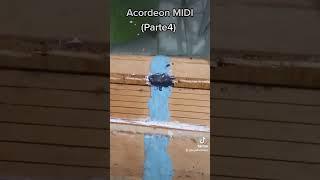 Acordeon MIDI 4