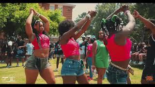 AKA STROLL HOTTTT ALPHA KAPPA ALPHA SORORITY INC.  ATLANTA GREEK PICNIC 23