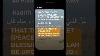 Love for Your Brother What You Love for Yourself - Hadith 13 of 42 Imam an-Nawawi #hadith