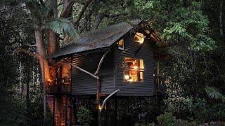 ALONE in a cosy Rain Forest Treehouse  Relaxing solo at the fire place - Glam Camping ASMR 