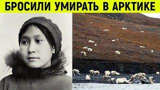 Ее оставили в Арктике наедине с белыми медведями а через 2 года вернулись и вот что обнаружили…