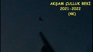 Çulluk Avı 2021-2022 Akşam Çulluk Beki 4K Woodcock Hunt