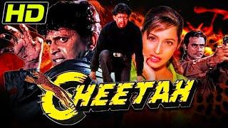 Cheetah 1994HD- Bollywood Action Full Hindi Movie  Mithun ChakrabortyAshwini BhavePrem Chopra