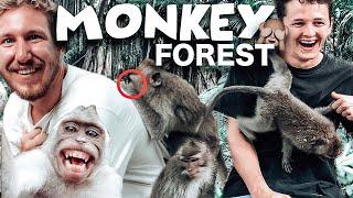 MONKEY FOREST UBUD BALI - Von Affen gebissen - KEIN SCHERZ  Lohnt der Affenwald sich trotzdem?