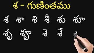 శ ష గుణింతాలు రాయడం మరియు చదవడం  how to write and read shasha guninthalu..