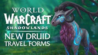 The 8 NEW Druid Travel Forms of 9.1.5 & How to Obtain Them  Shadowlands