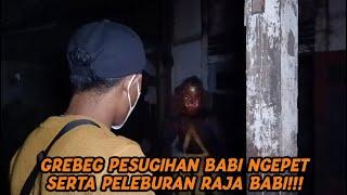 Warga Ramai Ramai Tangkap Siluman Babi Ngepet