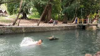 TIME LAPSE  ANAK KECIL MANDI DI SUNGAI PEDESAAN