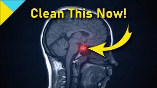 10100 Hertz Heal Pituitary Gland  WAIT TILL 6 Mins • Quantum Miracle Formula Frequency