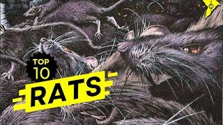 The 10 Best Rats in Magic the Gathering  MTG Top 10 2023