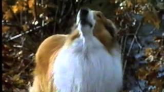 Lassie - Trailer 1994