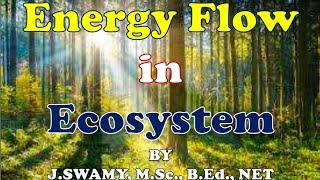 ENERGY FLOW IN ECOSYSTEM