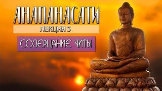 Анапанасати Лекция 5 Созерцание читы