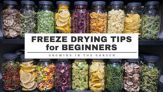 FREEZE DRYING tips for BEGINNERS plus Whats the DIFFERENCE between DEHYDRATING & FREEZE DRYING?