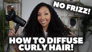 How To Diffuse Curly Hair NO FRIZZ  BiancaReneeToday