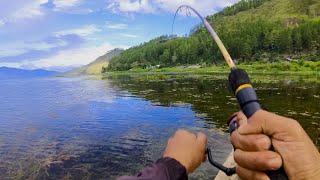 Mancing Casting Gabus Sebentar Dapat Banyak di Spot Purba