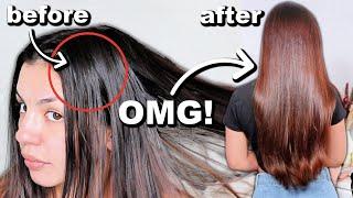 HOW TO WASH OILY HAIR STEP BY STEP  Oily Hair Washing Hacks