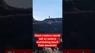 Giant Creature Stands Tall on Camera Overlooking Beach From Mountain Bigfoot?