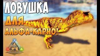 Приручение Spirit Дино и ловушка для Альфа Карнотавра - Ark Survival Evolved AfterLife #8