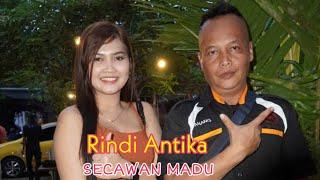 Secawan madu  Rindi Antika  SPPD PARTY 17