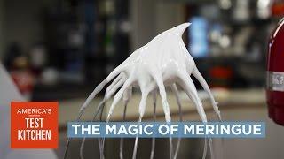 Science The Magic of Meringue—Why Timing Matters When Whipping Egg Whites and Sugar