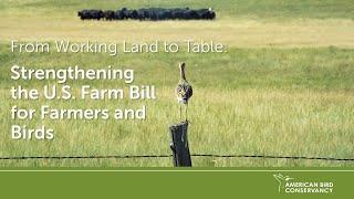 From Working Land to Table Strengthening the U.S. Farm Bill for Farmers and Birds  ABC Webinar