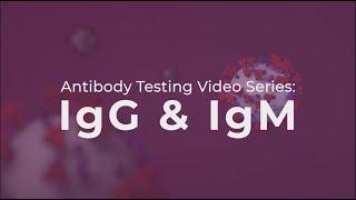 Antibody Testing IgG and IgM explained