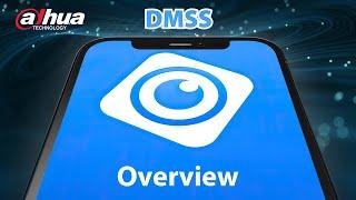 DMSS Tutorial  Overview