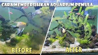 CARA MEMBERSIHKAN AQUARIUM PEMULA