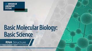 Basic Molecular Biology Basic Science – RNA Structure