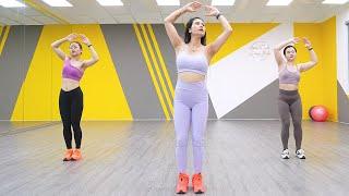 The Fastest Weight Loss Exercise - Belly Fat by Aerobic Workout Once a Day  Eva Fitness