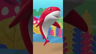 Mommy Shark  Doo Doo Doo Doo  Part 04  Kids Songs  Baby Zo Zo Nursery Rhymes #shorts