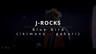 BLUE BIRD - IKIMONO GAKARI  J-ROCKS COVER LIVE