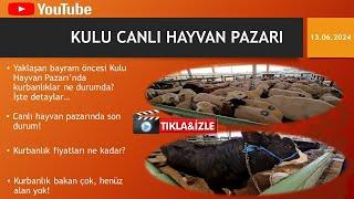 KURBANLIK ÇOK AMA HENÜZ ALAN YOK4K ULTRA HD VİDEO