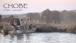 Victoria Falls and Chobe Nationalpark - Botswana